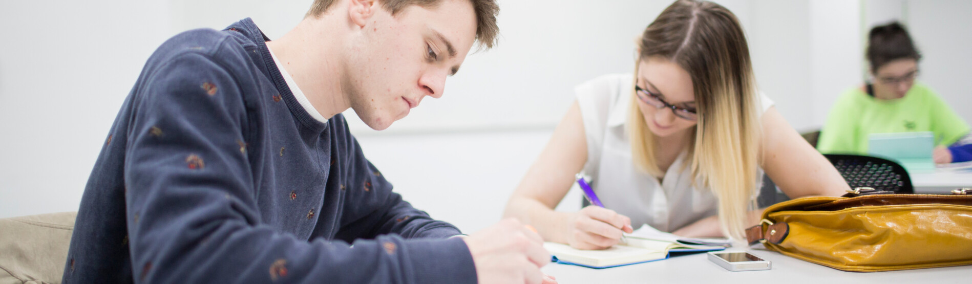 Students studying in library