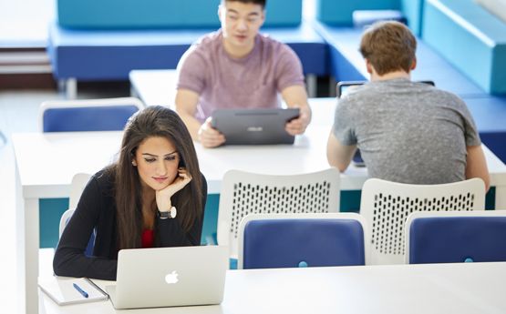 Three students studying on their laptops