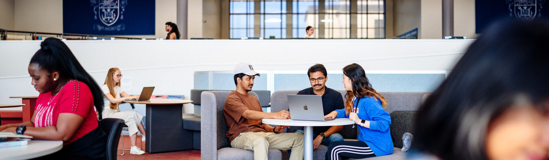 Students studying in library