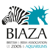 Biaza Logo 