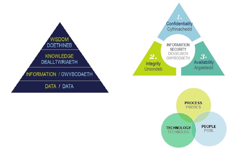 What is Cyber and Information Security?