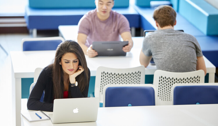 People sitting as desks, working on laptops